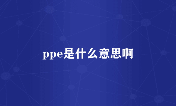 ppe是什么意思啊