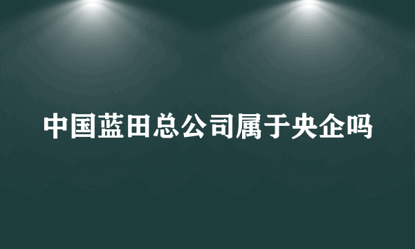 中国蓝田总公司属于央企吗