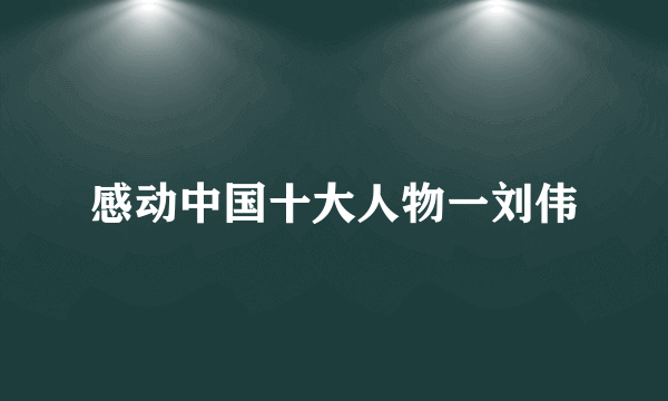 感动中国十大人物一刘伟