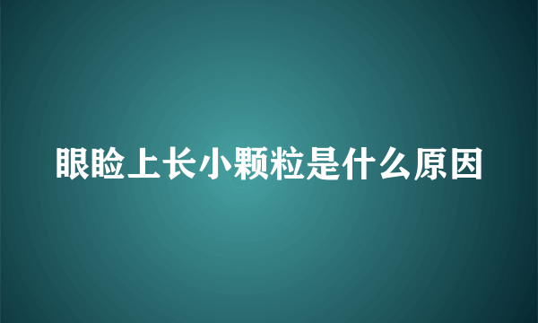 眼睑上长小颗粒是什么原因