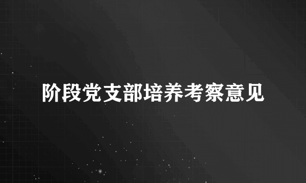 阶段党支部培养考察意见