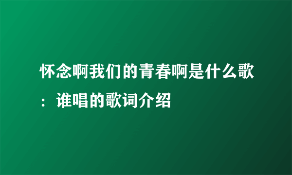 怀念啊我们的青春啊是什么歌：谁唱的歌词介绍