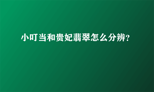 小叮当和贵妃翡翠怎么分辨？