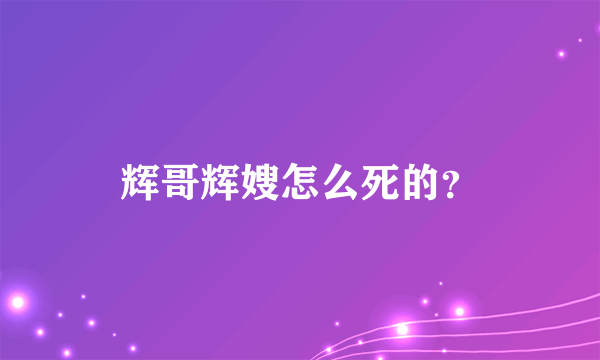 辉哥辉嫂怎么死的？