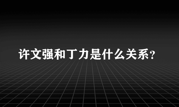 许文强和丁力是什么关系？