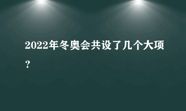 2022年冬奥会共设了几个大项？