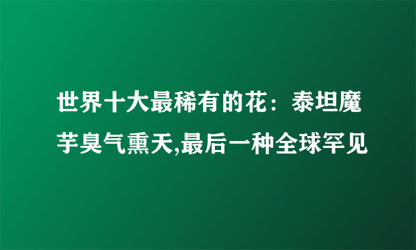 世界十大最稀有的花：泰坦魔芋臭气熏天,最后一种全球罕见