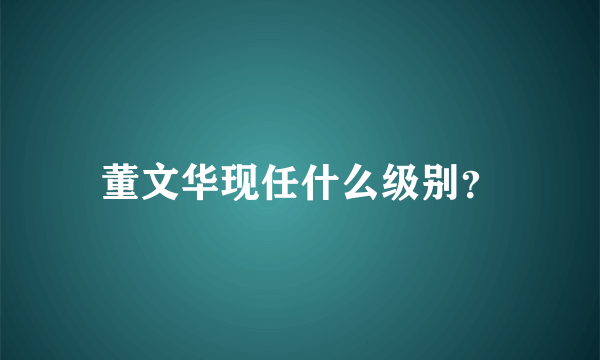 董文华现任什么级别？