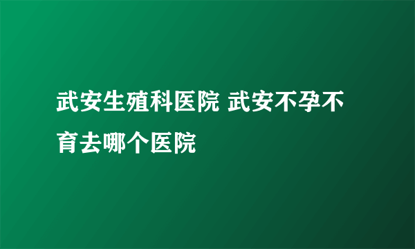 武安生殖科医院 武安不孕不育去哪个医院