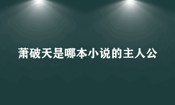 萧破天是哪本小说的主人公