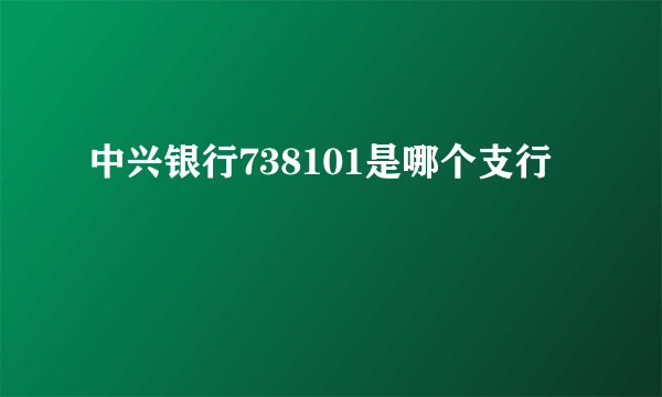 中兴银行738101是哪个支行