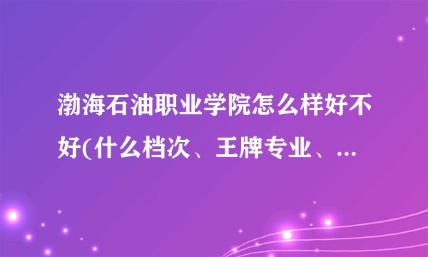 渤海石油职业学院怎么样好不好(什么档次、王牌专业、院校分数线)