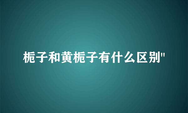 栀子和黄栀子有什么区别