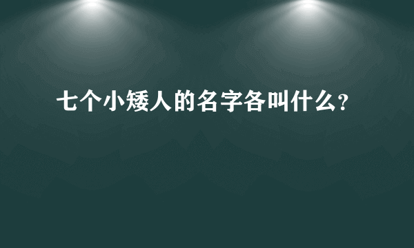 七个小矮人的名字各叫什么？