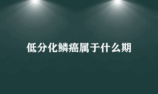 低分化鳞癌属于什么期