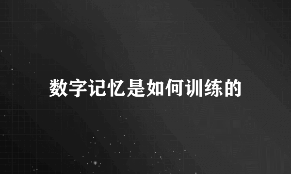 数字记忆是如何训练的