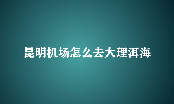 昆明机场怎么去大理洱海