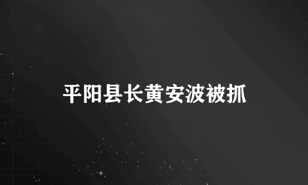 平阳县长黄安波被抓