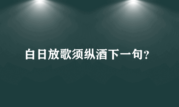 白日放歌须纵酒下一句？