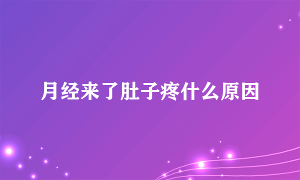 月经来了肚子疼什么原因