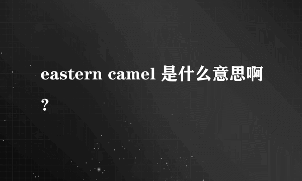 eastern camel 是什么意思啊？