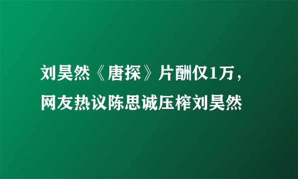 刘昊然《唐探》片酬仅1万，网友热议陈思诚压榨刘昊然