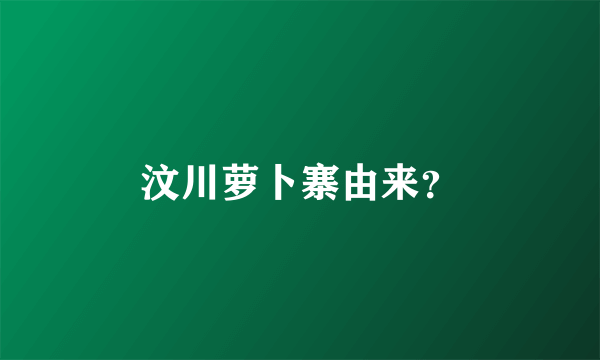 汶川萝卜寨由来？