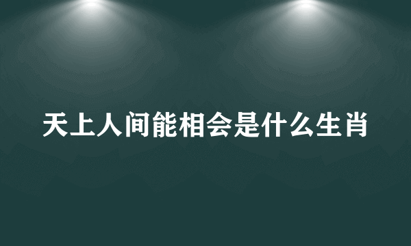 天上人间能相会是什么生肖