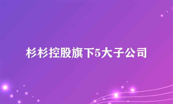 杉杉控股旗下5大子公司