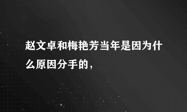 赵文卓和梅艳芳当年是因为什么原因分手的，