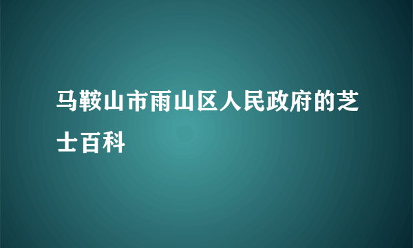 马鞍山市雨山区人民政府的芝士百科