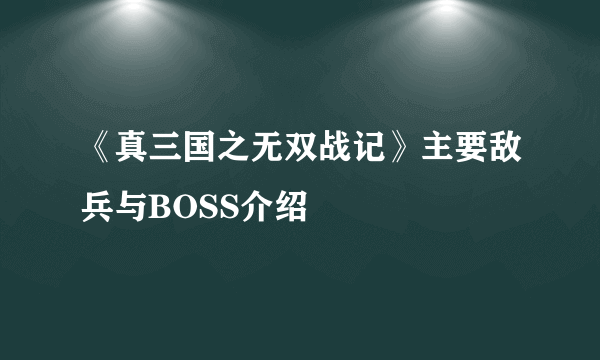 《真三国之无双战记》主要敌兵与BOSS介绍