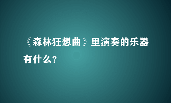 《森林狂想曲》里演奏的乐器有什么？