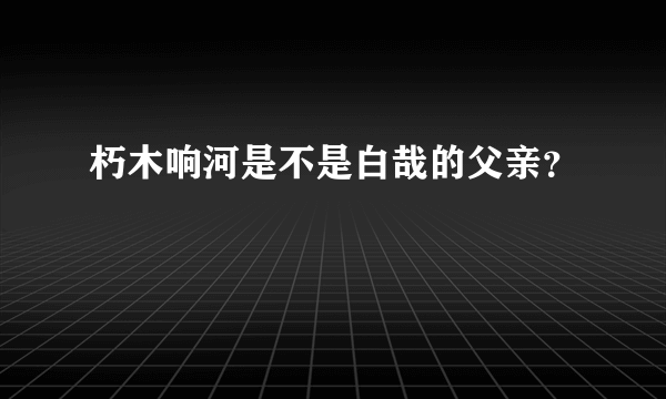 朽木响河是不是白哉的父亲？