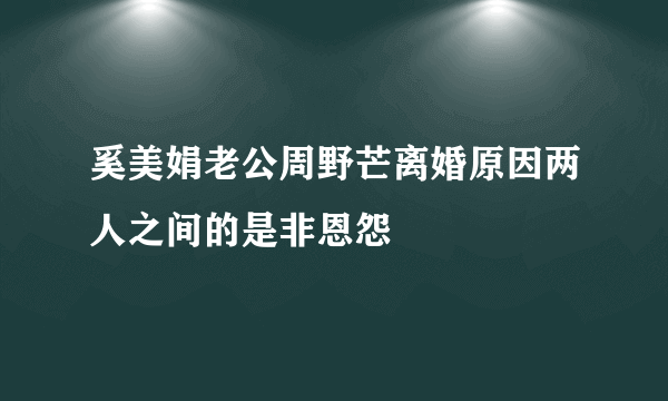 奚美娟老公周野芒离婚原因两人之间的是非恩怨