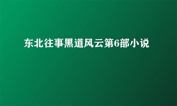 东北往事黑道风云第6部小说