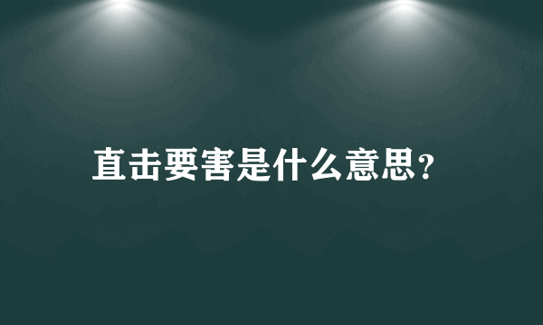 直击要害是什么意思？