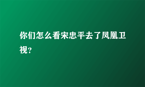 你们怎么看宋忠平去了凤凰卫视？