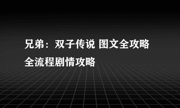 兄弟：双子传说 图文全攻略 全流程剧情攻略