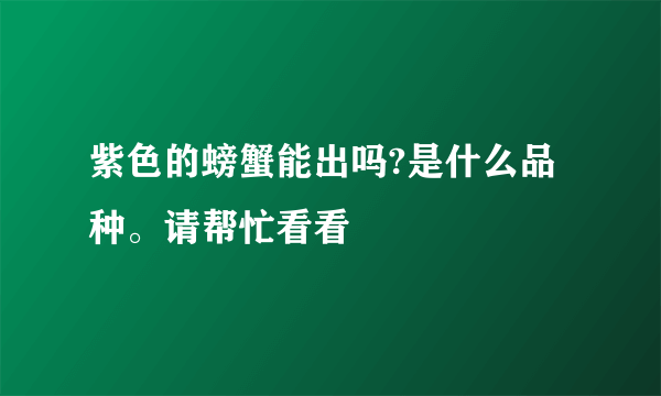 紫色的螃蟹能出吗?是什么品种。请帮忙看看