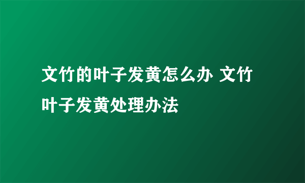 文竹的叶子发黄怎么办 文竹叶子发黄处理办法