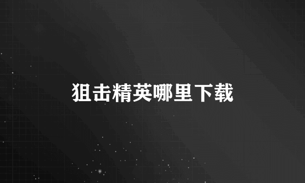 狙击精英哪里下载