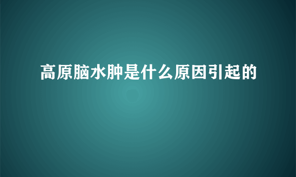 高原脑水肿是什么原因引起的