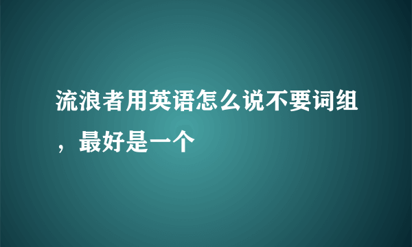 流浪者用英语怎么说不要词组，最好是一个