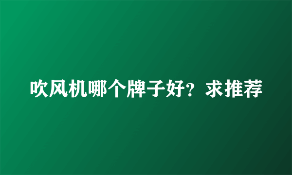 吹风机哪个牌子好？求推荐