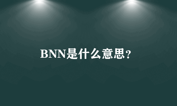 BNN是什么意思？