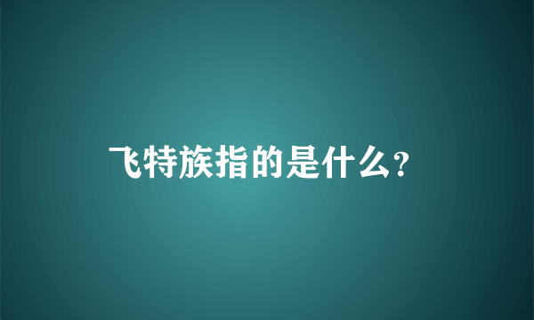 飞特族指的是什么？