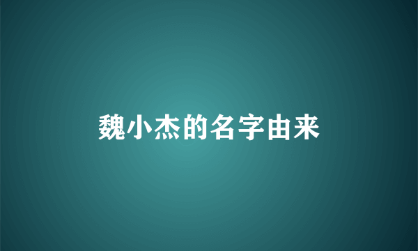 魏小杰的名字由来