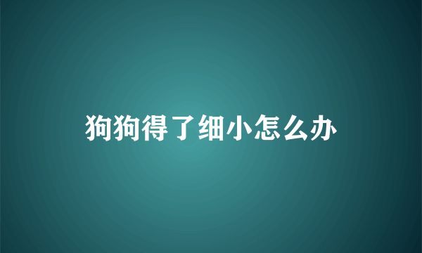 狗狗得了细小怎么办