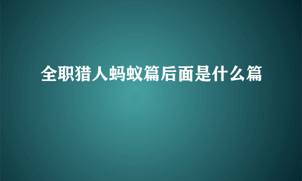 全职猎人蚂蚁篇后面是什么篇